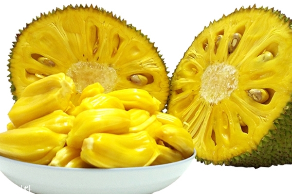 十二生肖：世界末日的迹象