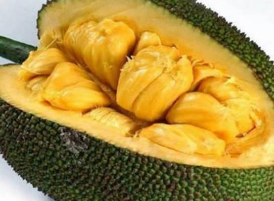 前程似锦的女孩