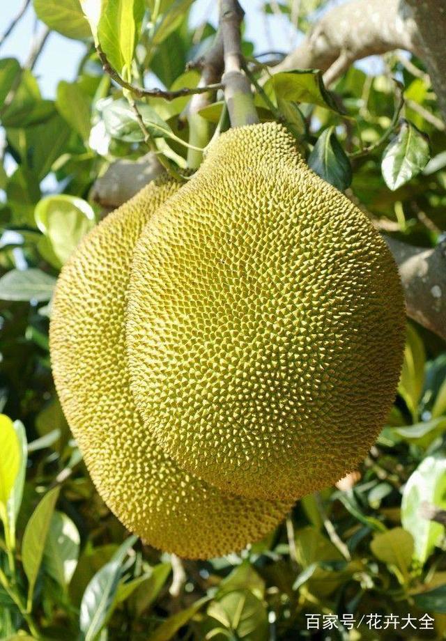 半夜不要照镜子